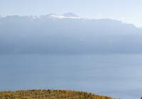 IMG_2781 IMG_2781