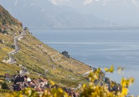 IMG_2797 IMG_2797