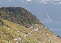 IMG_2808 IMG_2808