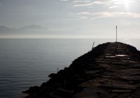 IMG_5295 IMG_5295