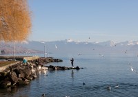 IMG_5297 IMG_5297