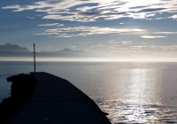 IMG_5325 IMG_5325