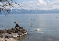 IMG_5505 IMG_5505
