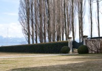 IMG_5506 IMG_5506
