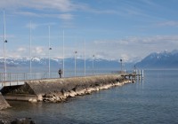 IMG_5508 IMG_5508