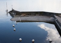 IMG_5536 IMG_5536